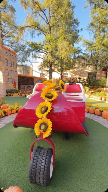 Red wagon decorated with sunflowers on the course