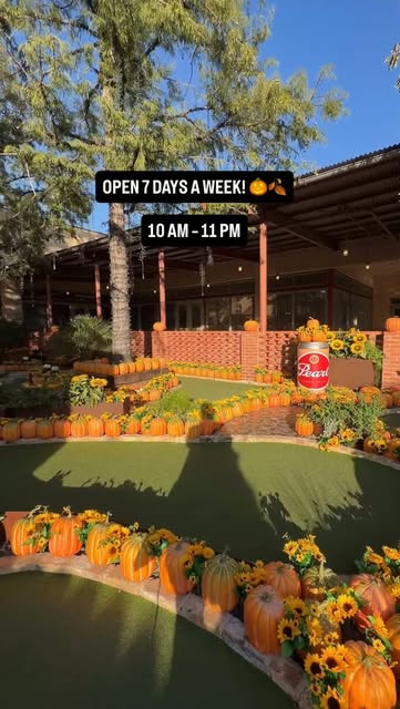 Pumpkin-lined putting green at dusk, open 7 days a week