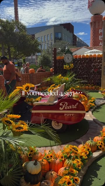 Red Pearl wagon surrounded by pumpkins and sunflowers